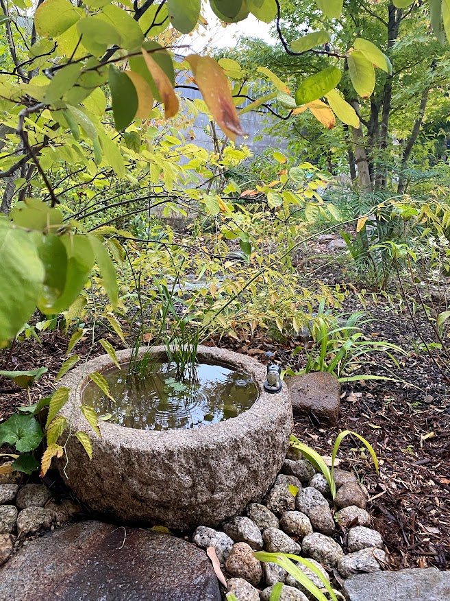 佐治川石№45 景観石 水石 アクアリウム ビオトープ 【Taiyoメダカ