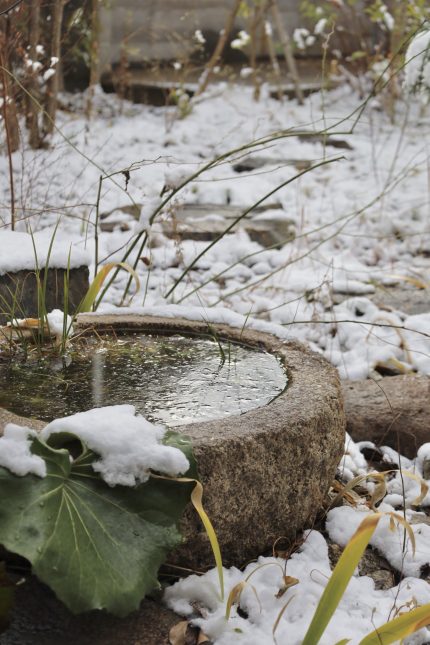 京都府南部も今朝はすごい積雪でした！